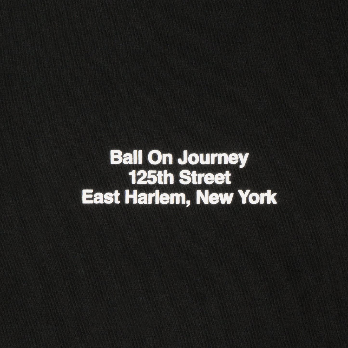 Photo Tee -BOJ 125th Street- (black)