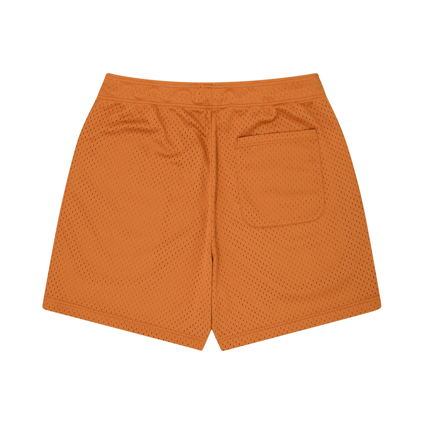 blhlc Oval Logo Mesh Zip Shorts (ginger)