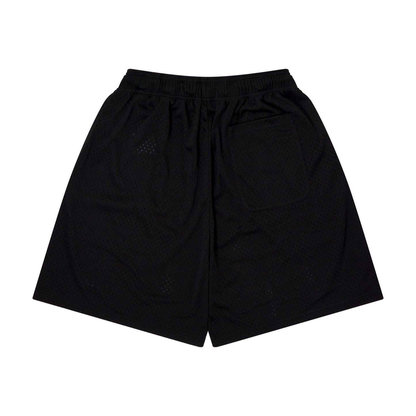 Logo Mesh Zip Shorts (black)
