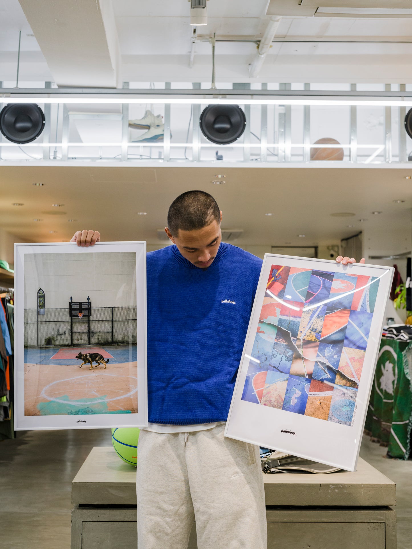 Logo Cotton Knit Sweater (blue)