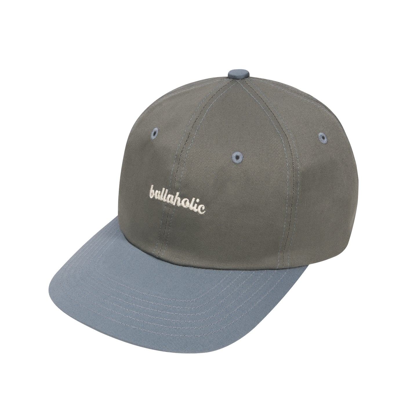 Logo 6P Cap (gray/slate blue)