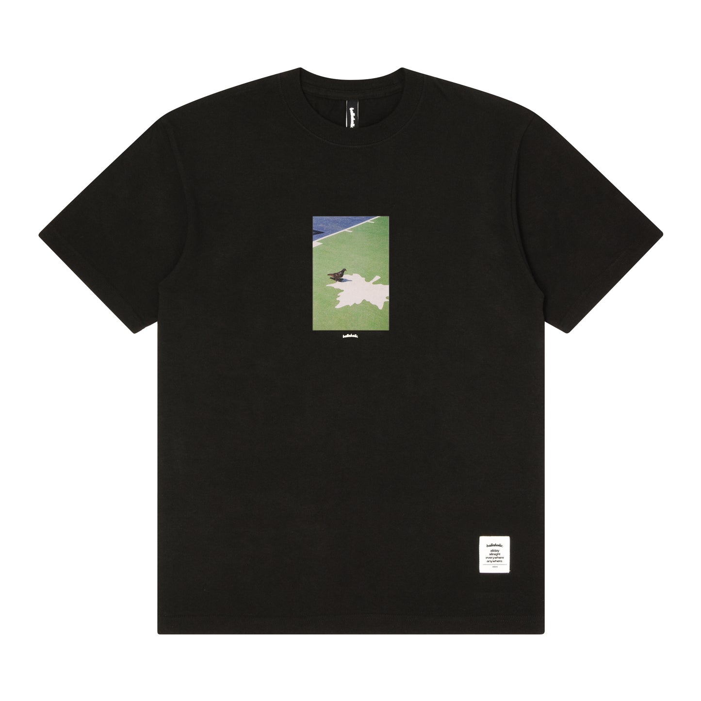 Playground Photo Tee -Pigeon- (black)