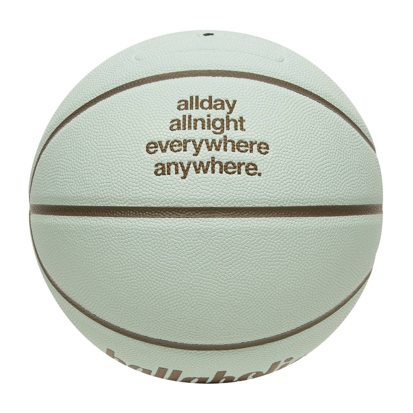 Playground Basketball / ballaholic x TACHIKARA (sky blue/dark brown)