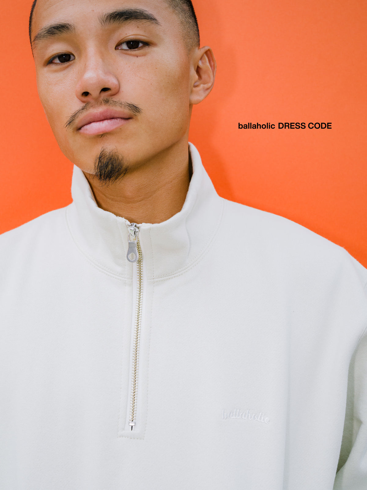 Small Logo Half Zip Sweatshirt (ice gray)