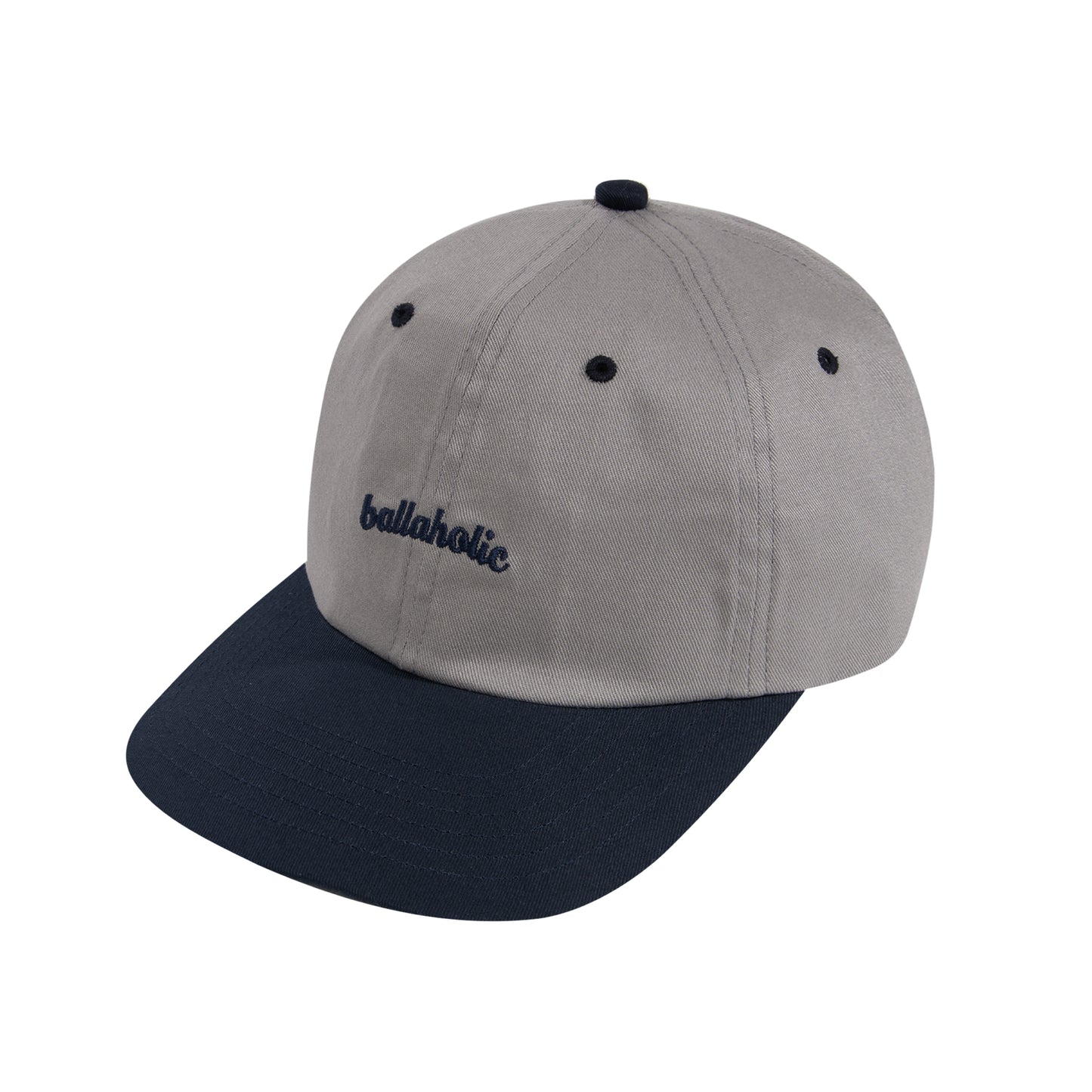 Logo 6P Cap (gray/navy)