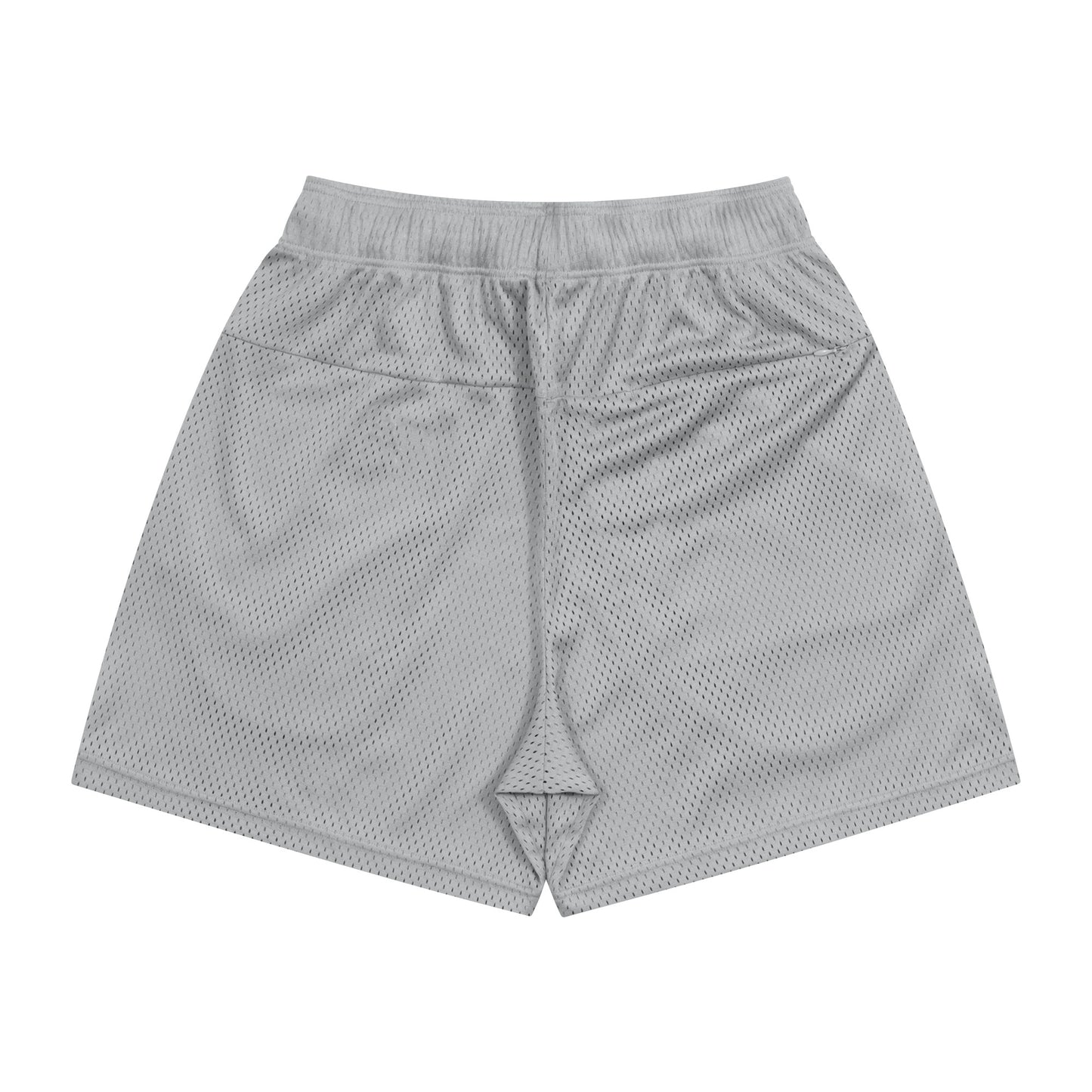 College Logo Mesh Zip Shorts (gray)