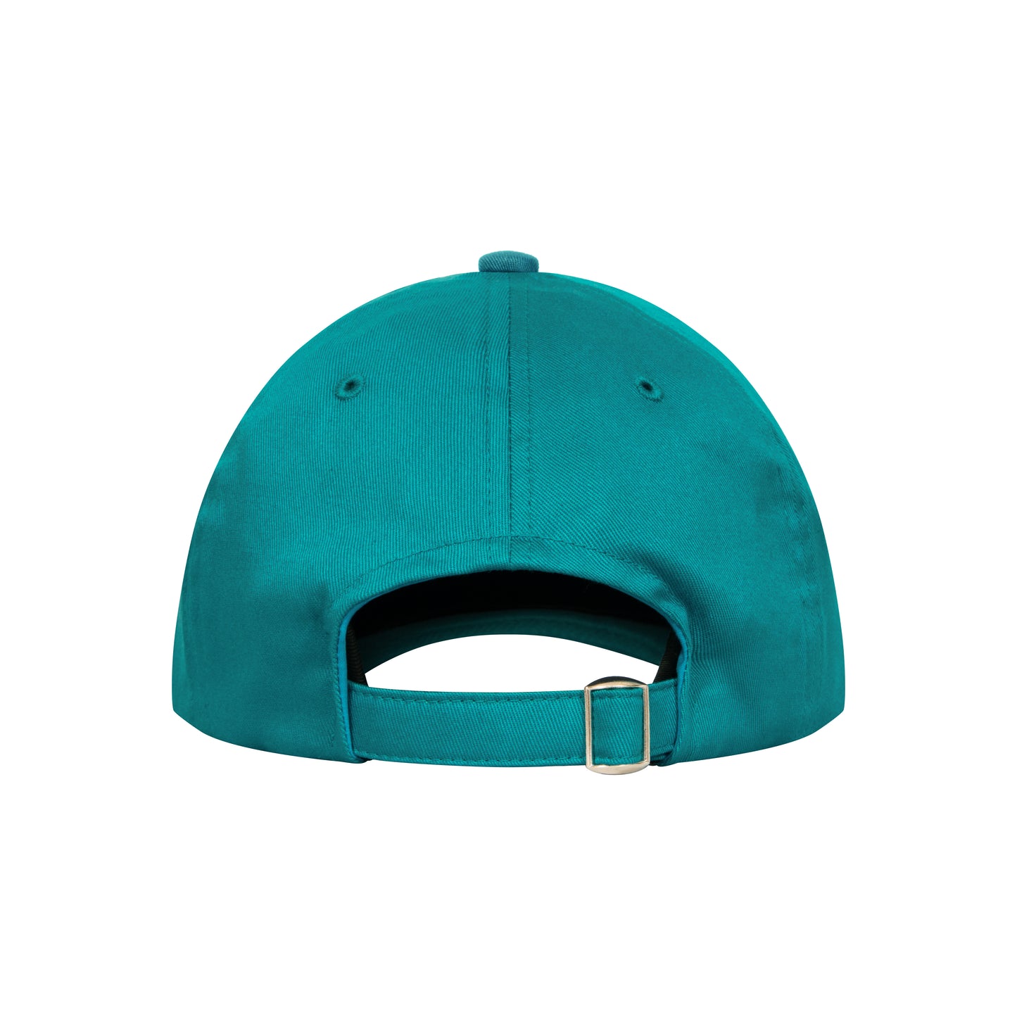 Logo 6P Cap (turquoise)